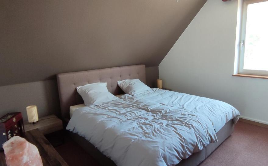Apartamento Le Strasbourgeois Illkirch-Graffenstaden Exterior foto