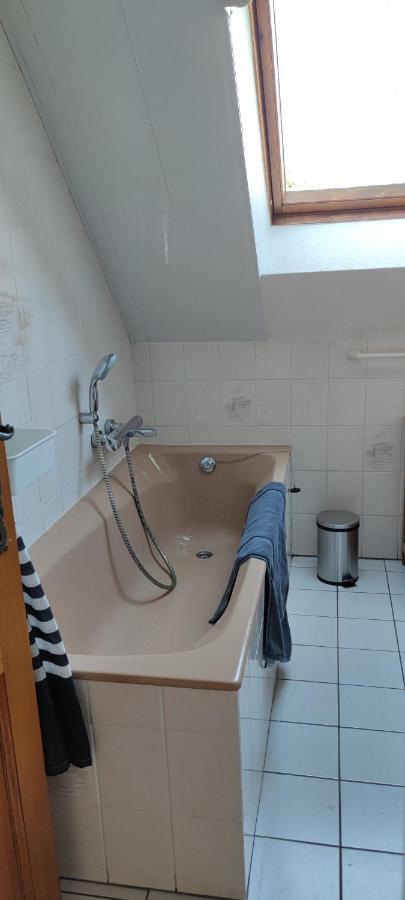 Apartamento Le Strasbourgeois Illkirch-Graffenstaden Exterior foto